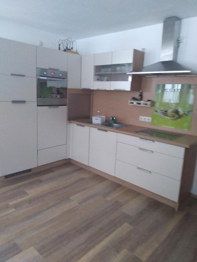 Appartement Schmittenblick Целль-ам-Зе Экстерьер фото